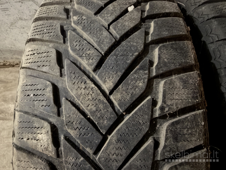 Dunlop 205/50 R17 2 vnt-10 eur