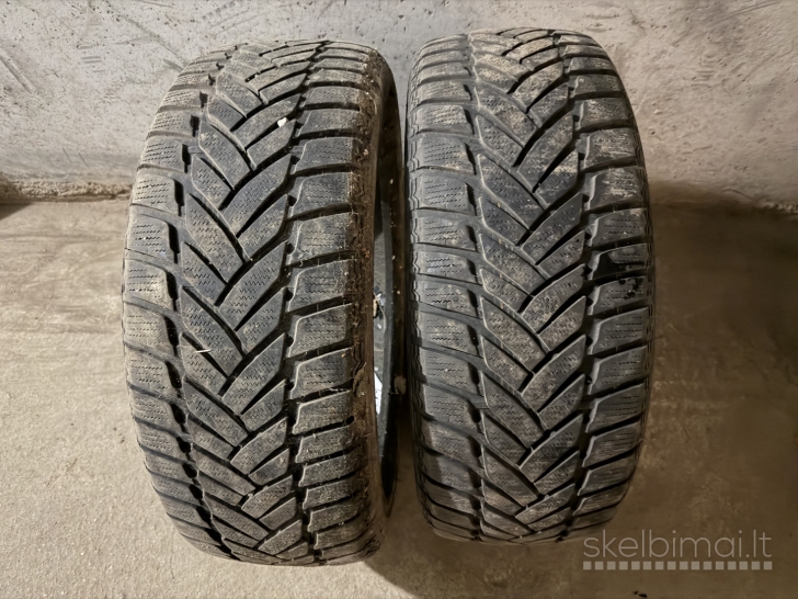 Dunlop 205/50 R17 2 vnt-10 eur