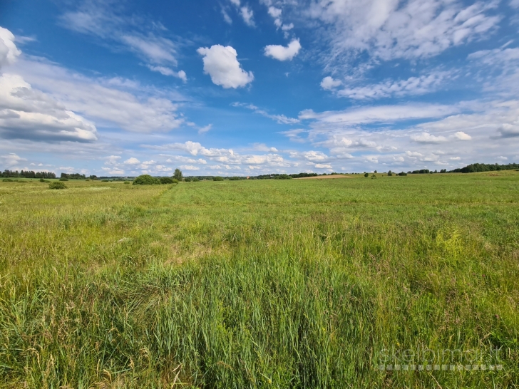 Parduodamas 3, 87 ha. žemės ūkio paskirtis sklypas