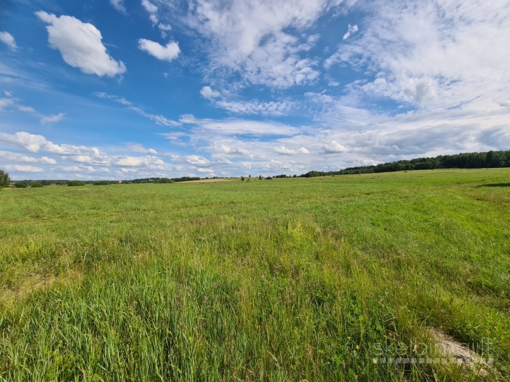 Parduodamas 3, 87 ha. žemės ūkio paskirtis sklypas