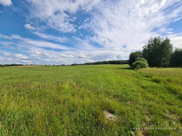 Parduodamas 3, 87 ha. žemės ūkio paskirtis sklypas