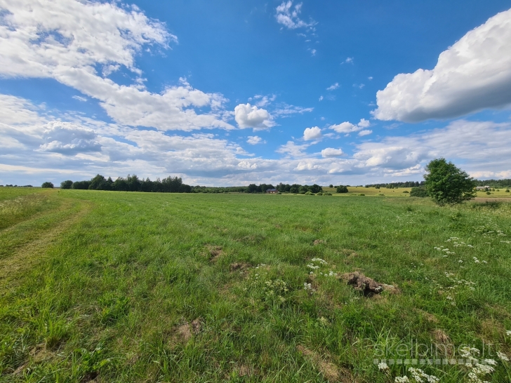 Parduodamas 3, 87 ha. žemės ūkio paskirtis sklypas