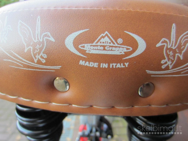 Motorinis dviratis RED RIDER