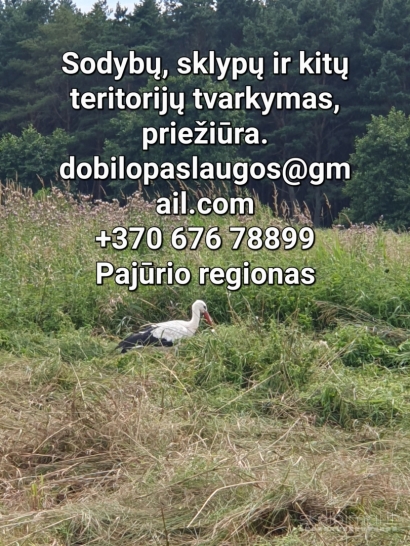 Aplinkos tvarkymas, valymas, priežiūra.