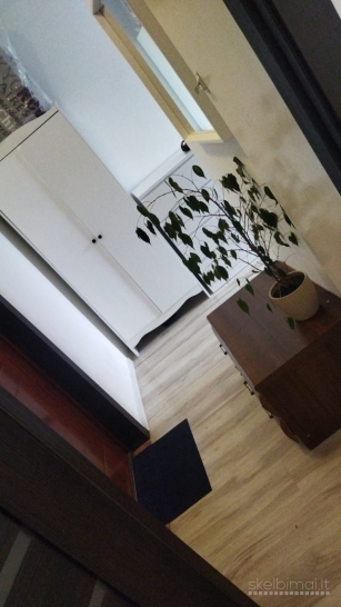 Nuomojama tiesiogiai iš savininko (Laukininkai, Laukininkų g.)