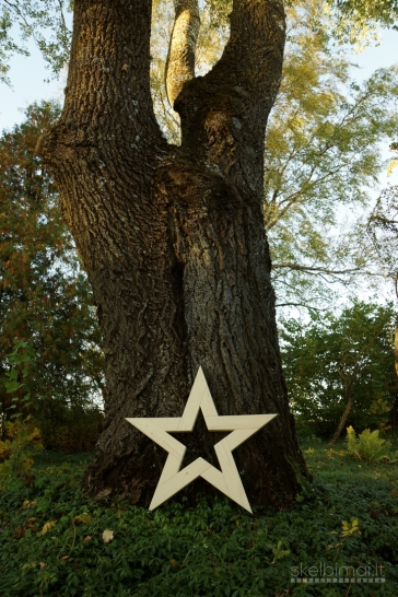 Dekoratyvinė medinė žvaigždė