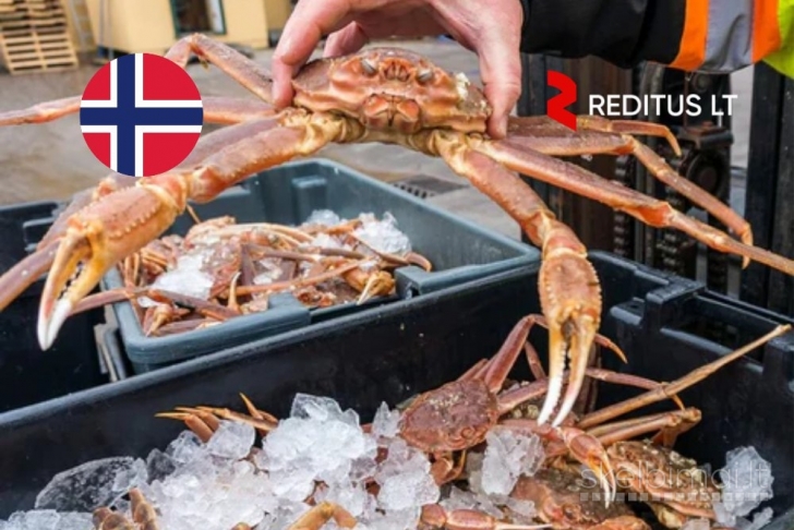 Produkcijos darbuotojai (krabai) – darbas Norvegijoje (2013)