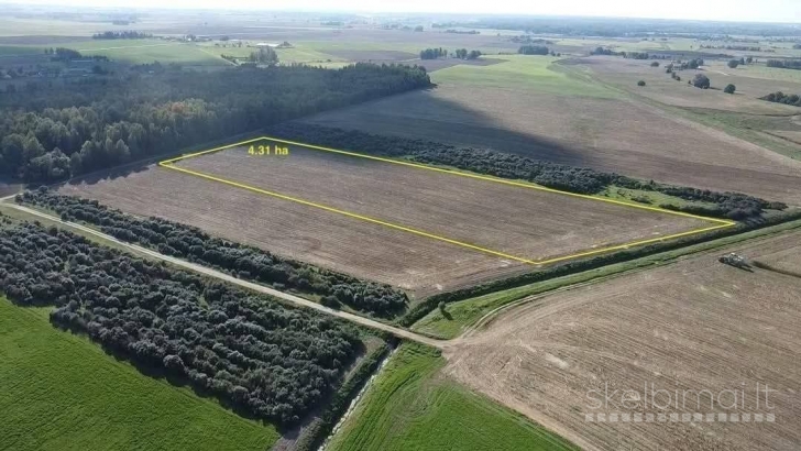 Parduodamas 4,31 ha sklypas Kauno r., Taurakiemio sen., Vyčiaus k.