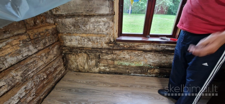 Medžio grybo - "Trobagrybio" naikinimas/šalinimas visoje Lietuvoje