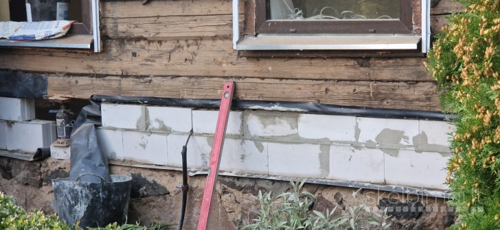 Medžio grybo - "Trobagrybio" naikinimas/šalinimas visoje Lietuvoje