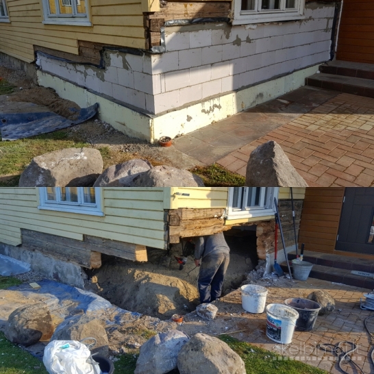 Medžio grybo - "Trobagrybio" naikinimas/šalinimas visoje Lietuvoje