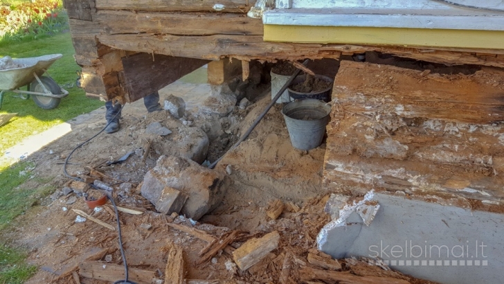 Medžio grybo - "Trobagrybio" naikinimas/šalinimas visoje Lietuvoje