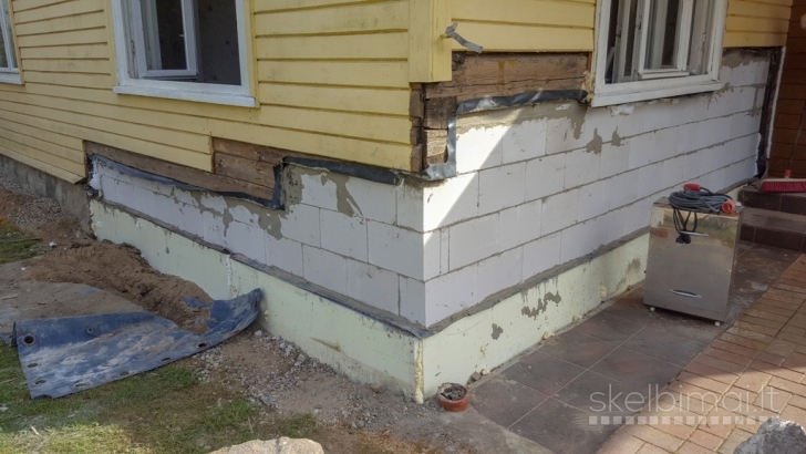 Medžio grybo - "Trobagrybio" naikinimas/šalinimas visoje Lietuvoje