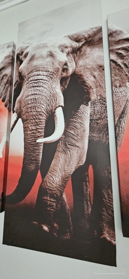 Paveikslas 5 dalių, 2metrai