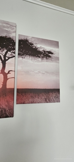 Paveikslas 5 dalių, 2metrai