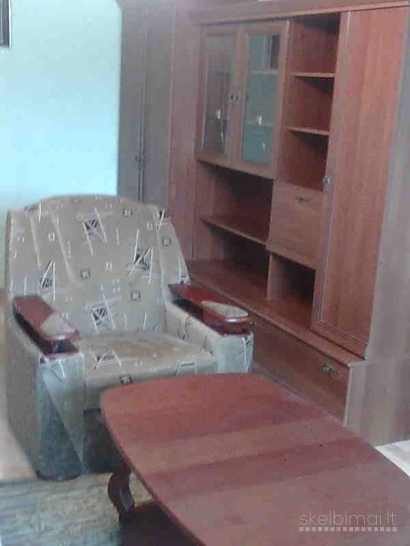 Išnuomojamas tvarkingas ir jaukus 1 kambario butas (1/5) su baldais .