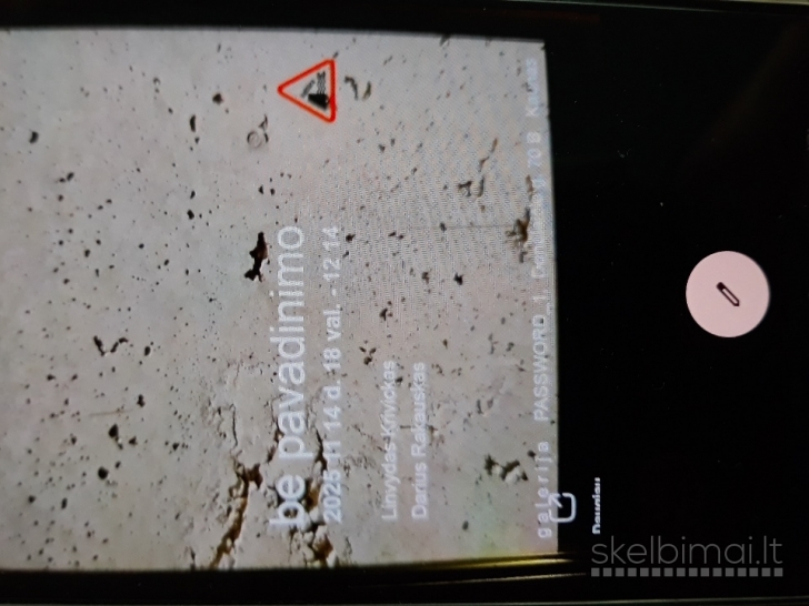 Aspeed suknia ir knyga pramogai