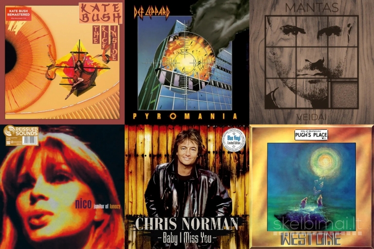 Naujos nepraplėštos plokštelės