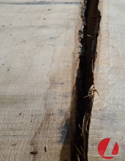 Džiovinta ąžuolo mediena