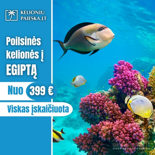 NEPERMOKĖK UŽ KELIONĘ! PIGIOS KELIONĖS! PASKUTINĖ MINUTĖ!