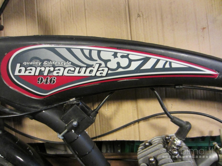 Barracuda-motorinis dviratis