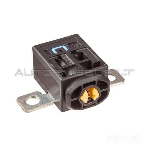 Tesla 1111313-00-E 1111313-00-F Saugiklis