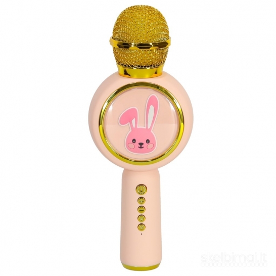 Belaidis karaoke mikrofonas vaikams