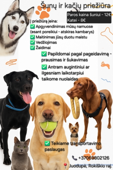 Šunų ir kačių priežiūra