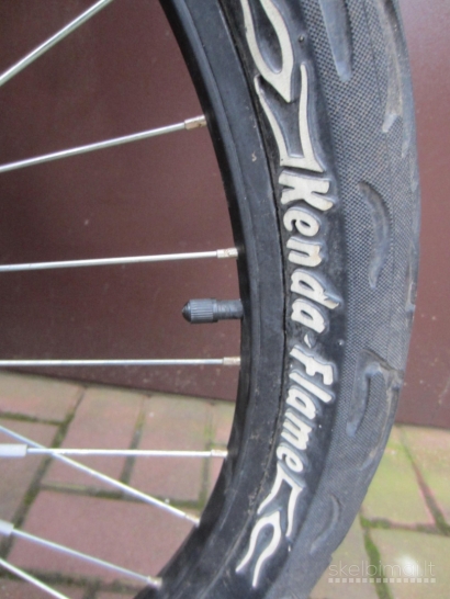 Elektrinis dviratis su Rubbee pavara