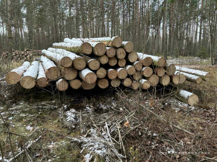 Perkame miškus su žeme arba išsikirtimui visoje Lietuvoje