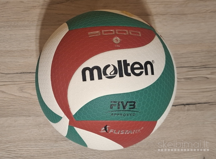 Molten tinklinio kamuolys