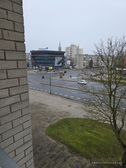 Kambario nuoma Klaipėda