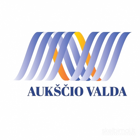 Pramoninės įrangos montavimas ir demontavimas.