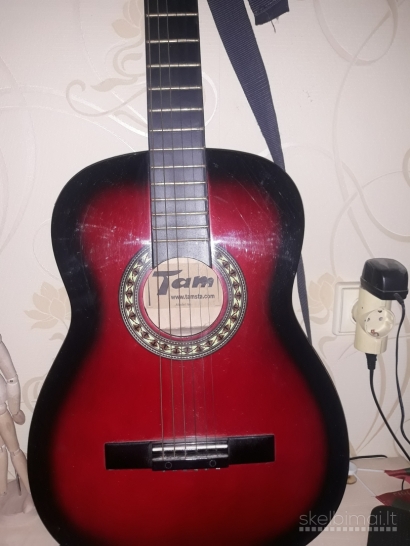 Akustinė gitara Tamsta