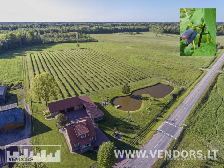 PARDUODAMAS SAUSMEDŽIŲ ŪKIS RIETAVO SAV., ŽADVAINIŲ K., JŪROS G.