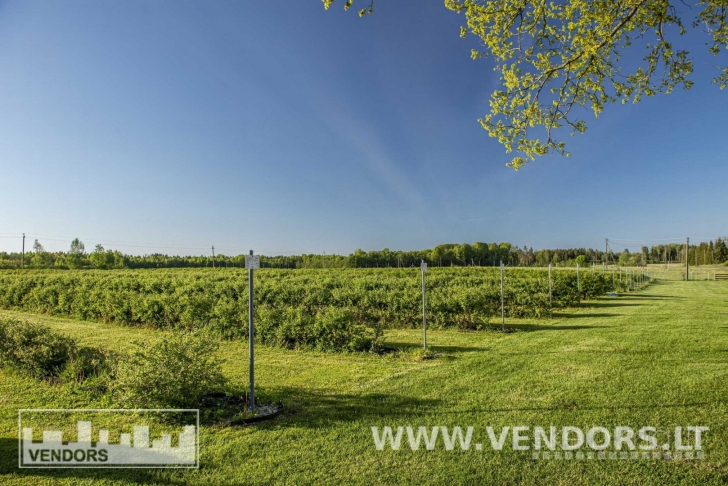 PARDUODAMAS SAUSMEDŽIŲ ŪKIS RIETAVO SAV., ŽADVAINIŲ K., JŪROS G.