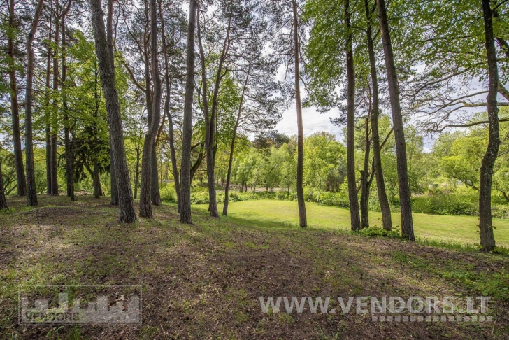 PARDUODAMI ŽEMĖS SKLYPAI KAČERGINĖJE, J.JANONIO G.