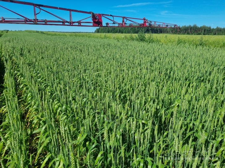 Parduodu 11, 2 hektarų ariamos žemės sklypa