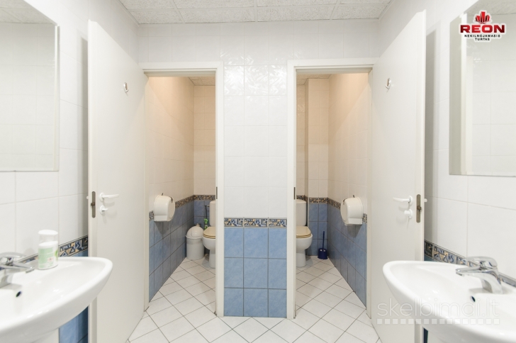 PUIKIOS PATALPOS NUOMAI SAVANORIŲ PREOSPEKTE!