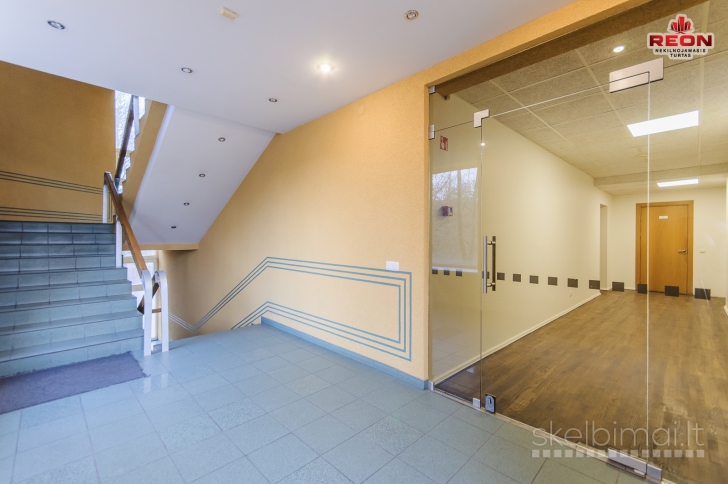 PUIKIOS PATALPOS NUOMAI SAVANORIŲ PREOSPEKTE!