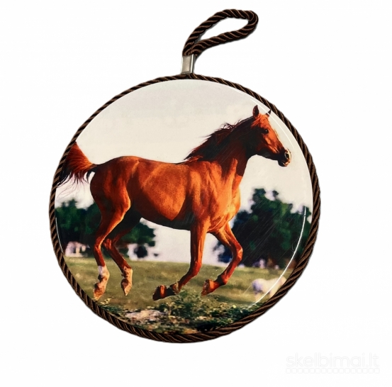 Padėklai džiovykloms