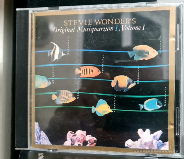 St. Wonder/⁶London Beat / FYC