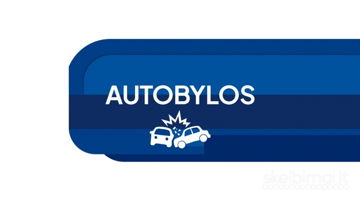 Nepriklausomas žalų ekspertas – patikima transporto priemonės vertinimo paslauga