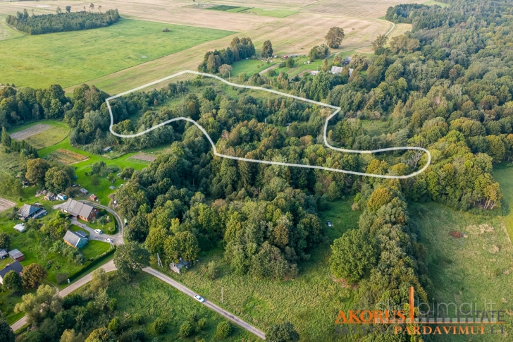 akorus.lt - sklype miškas, ribojasi su upe