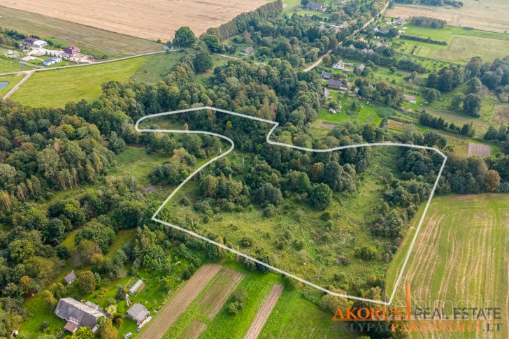 akorus.lt - sklype miškas, ribojasi su upe