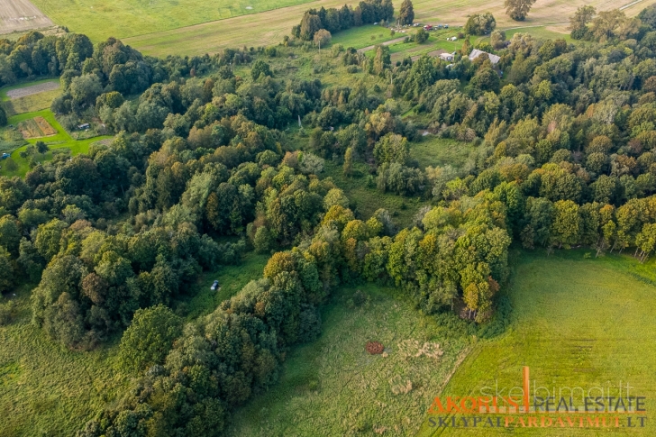 akorus.lt - sklype miškas, ribojasi su upe