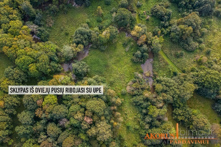 akorus.lt - sklype miškas, ribojasi su upe