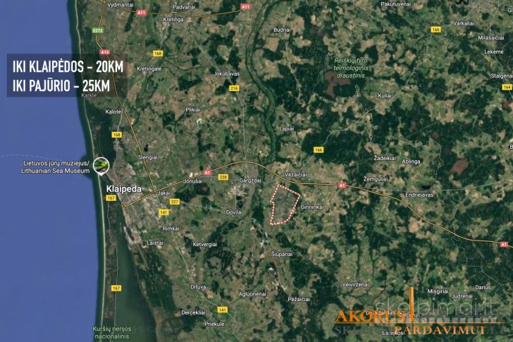 akorus.lt - sklype miškas, ribojasi su upe