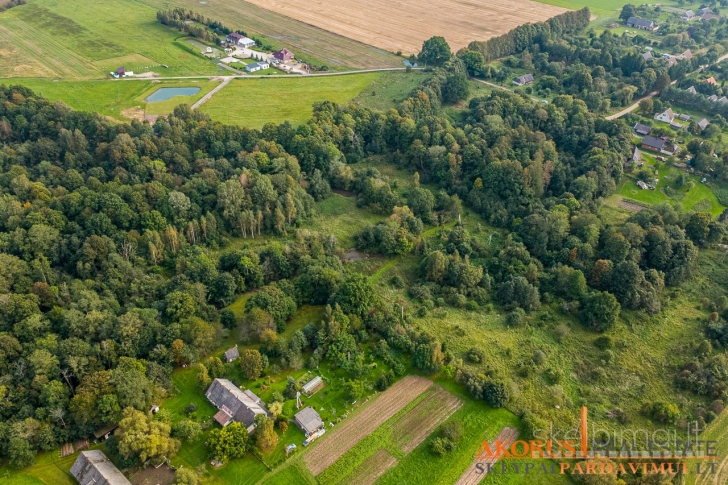 akorus.lt - sklype miškas, ribojasi su upe