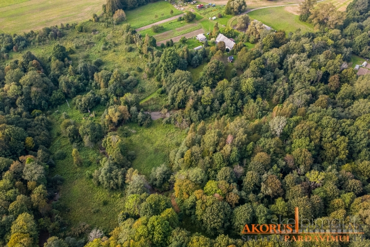 akorus.lt - sklype miškas, ribojasi su upe